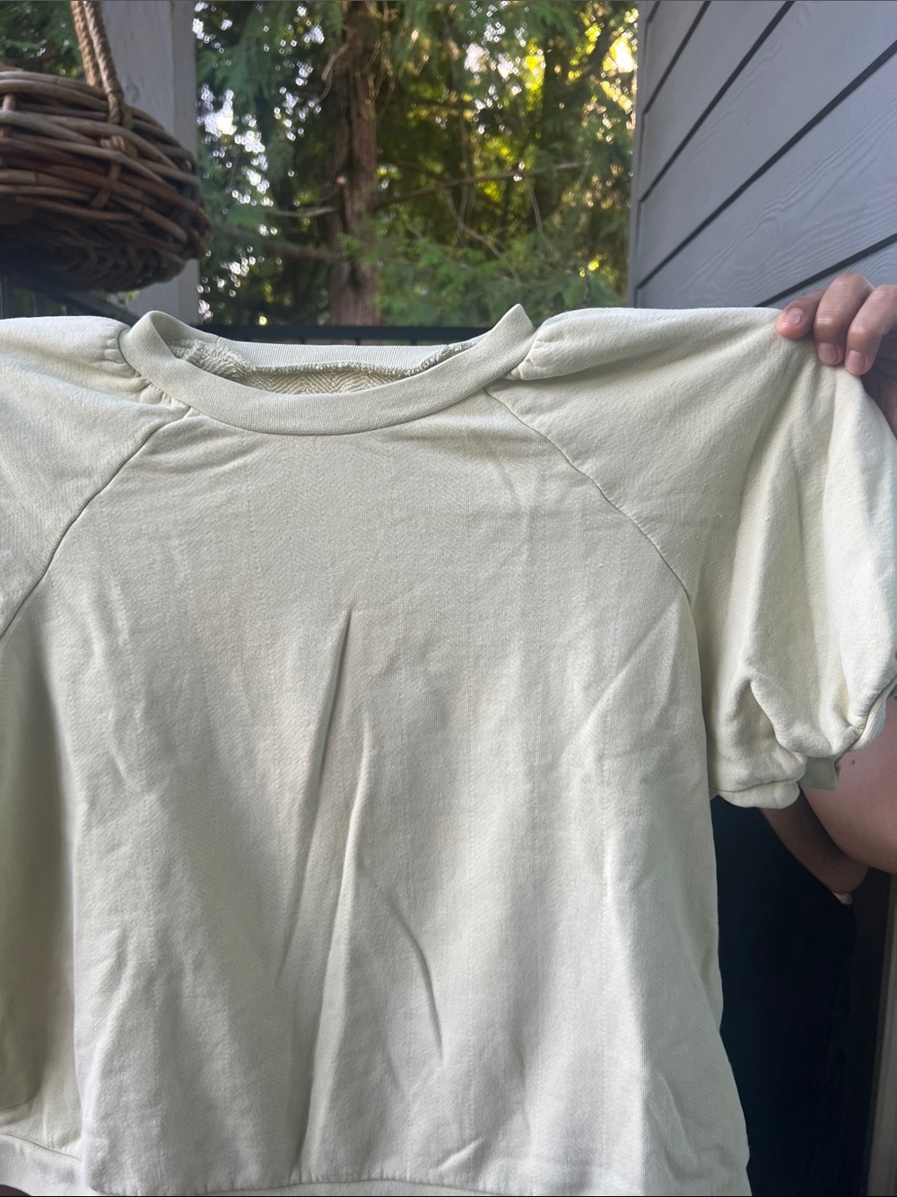 Madewell Pale Sage Short Sleeve Sweatshirt - Picture 9 of 10